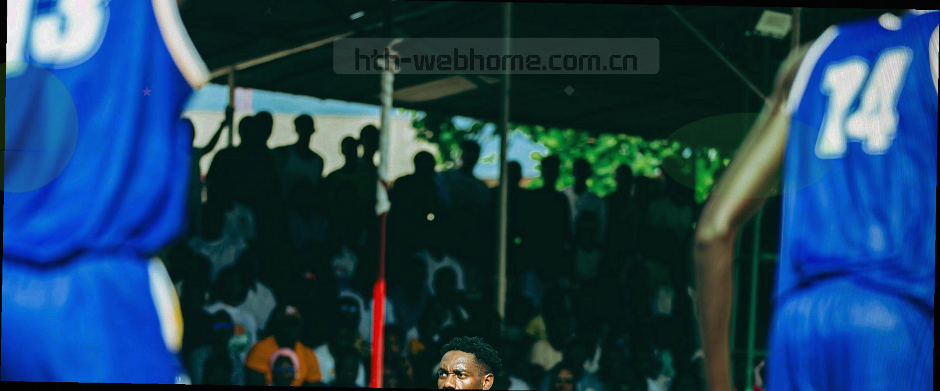 球场全景，草地与看台，动感光影